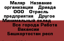 Маляр › Название организации ­ Дриада, ООО › Отрасль предприятия ­ Другое › Минимальный оклад ­ 18 000 - Все города Работа » Вакансии   . Башкортостан респ.